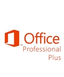  Microsoft Office Professional 2010/2013